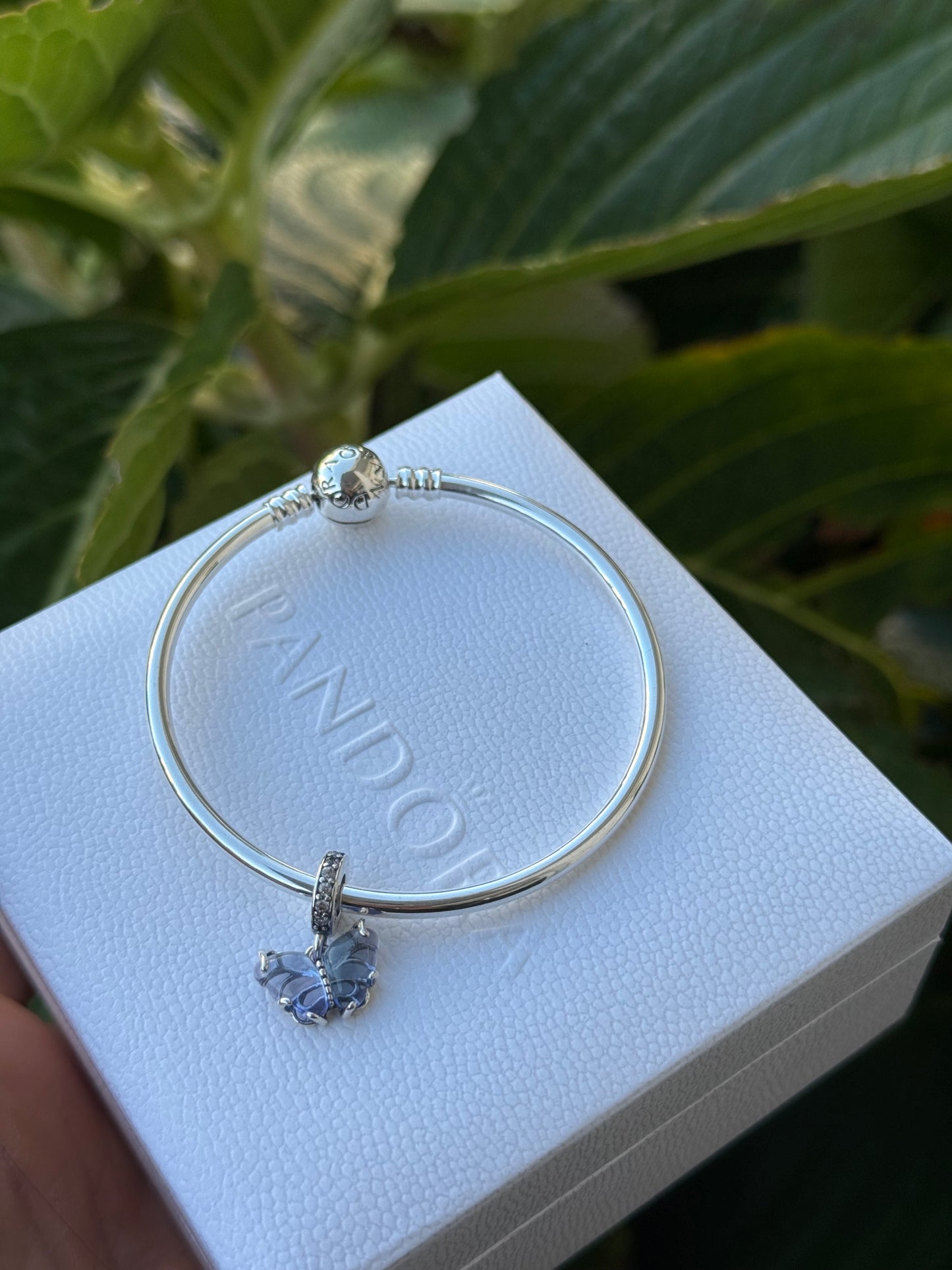 Charms pandora mariposa