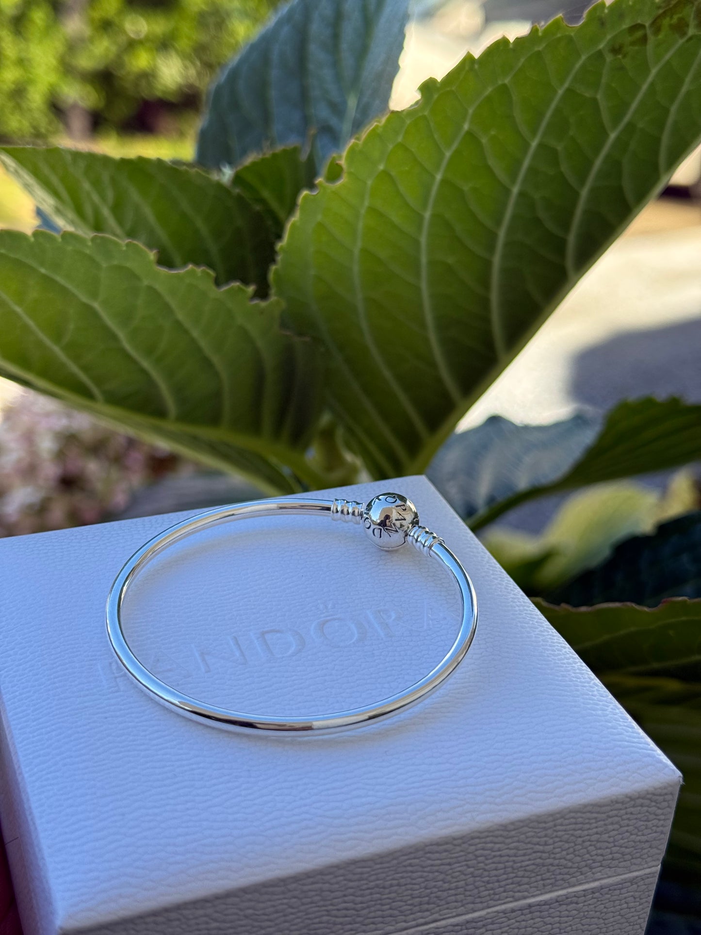 Pulsera Pandora rígida