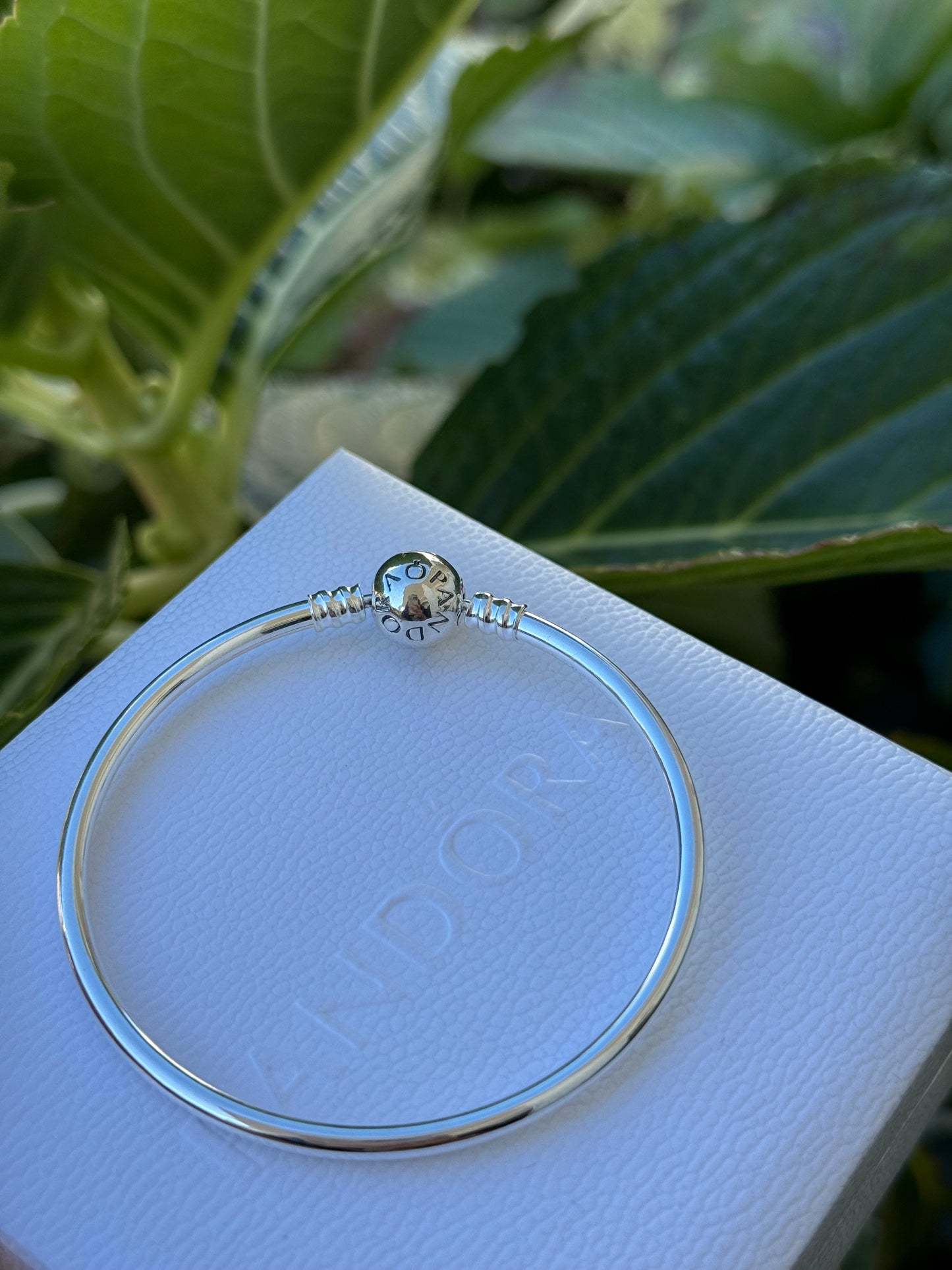 Pulsera Pandora rígida