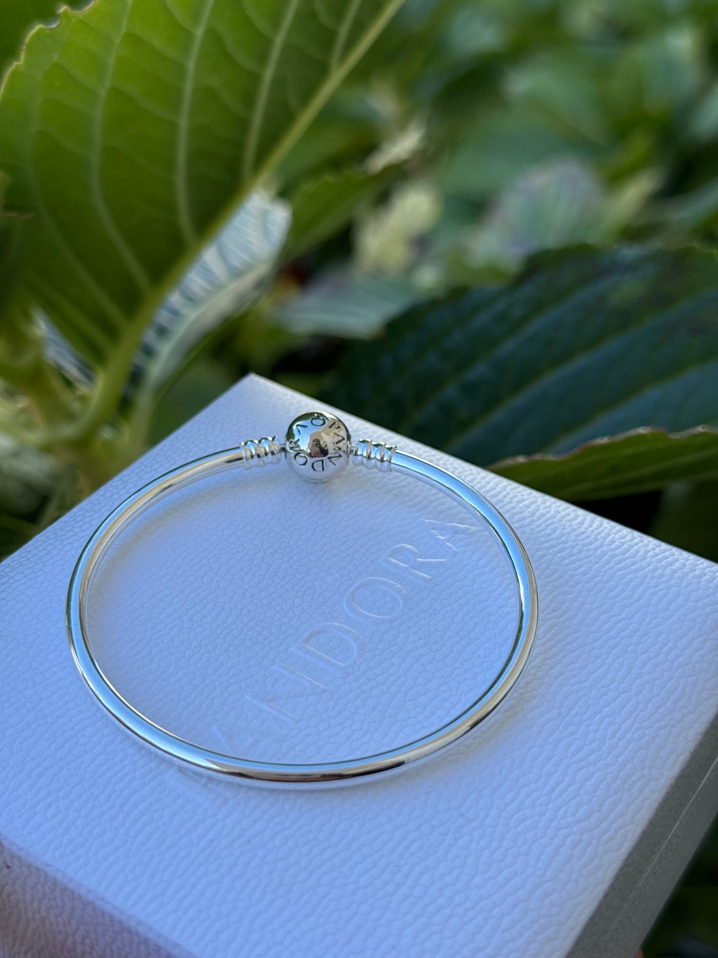 Pulsera Pandora rígida