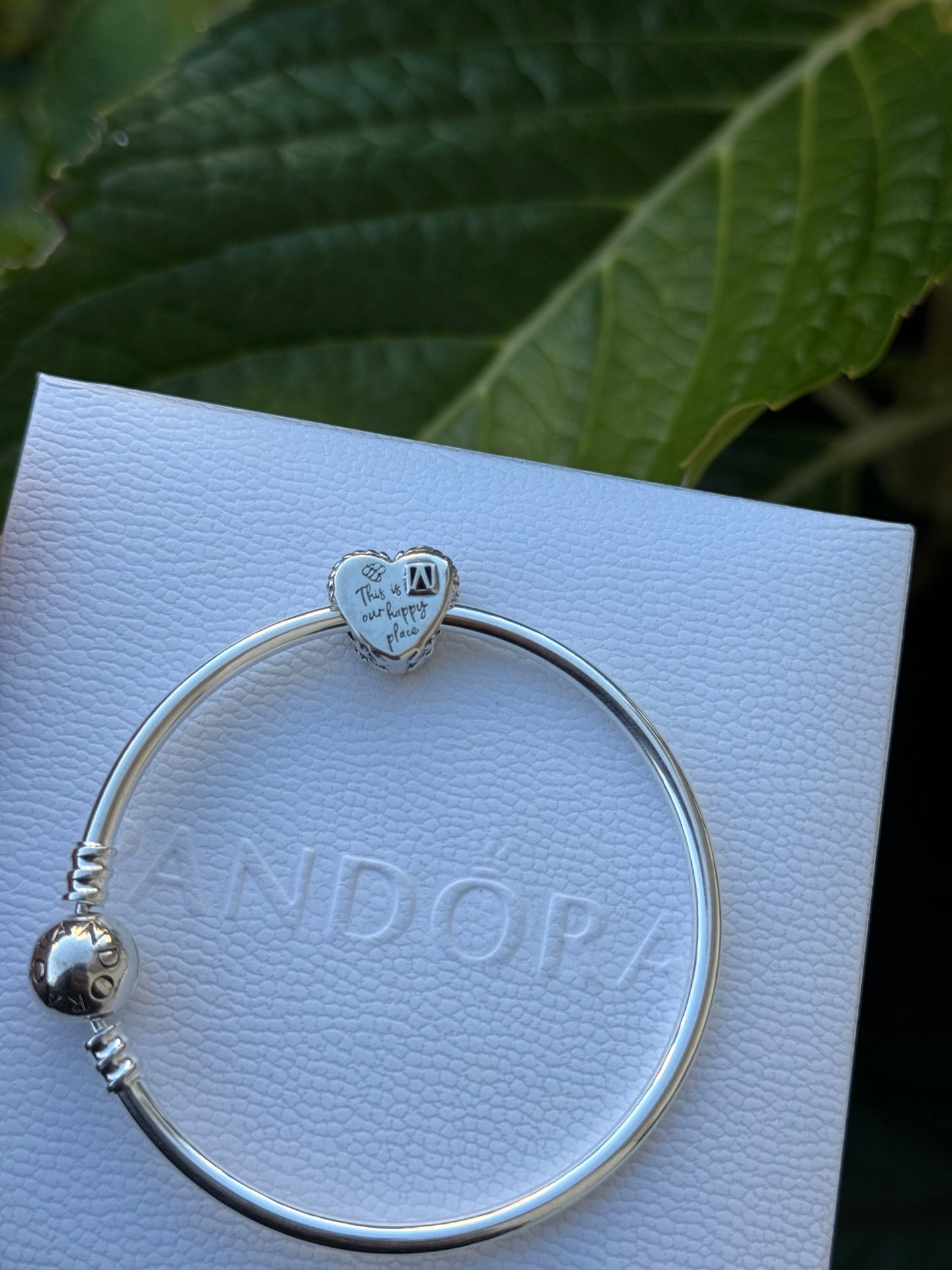 Charms casita pandora