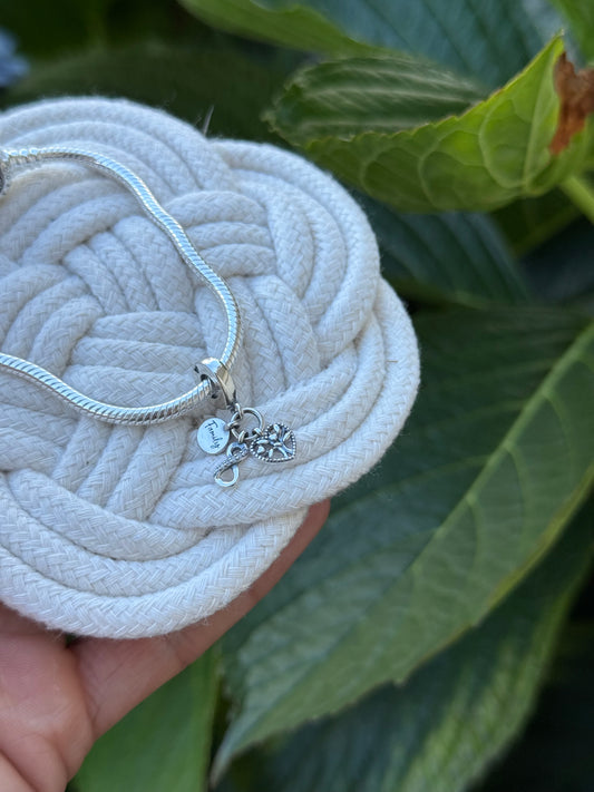 Charm familia pandora